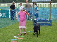 More Games Zone fun