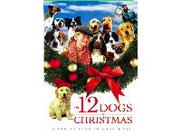 Episode 138 - The 12 Dogs Of Christmas And Roann's Dog Therapy Team ...