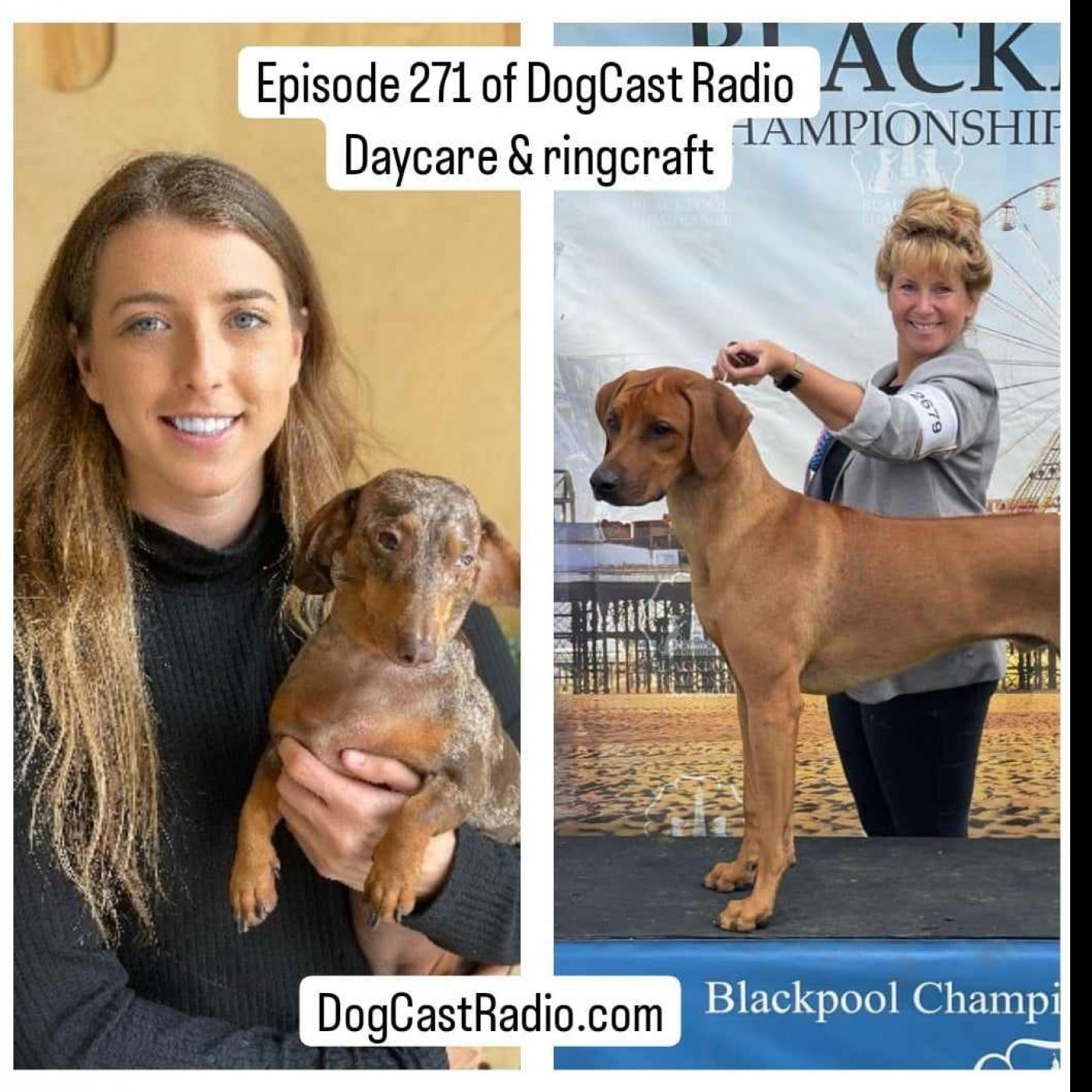 Episode 271 - a new kind of dog daycare and ringcraft