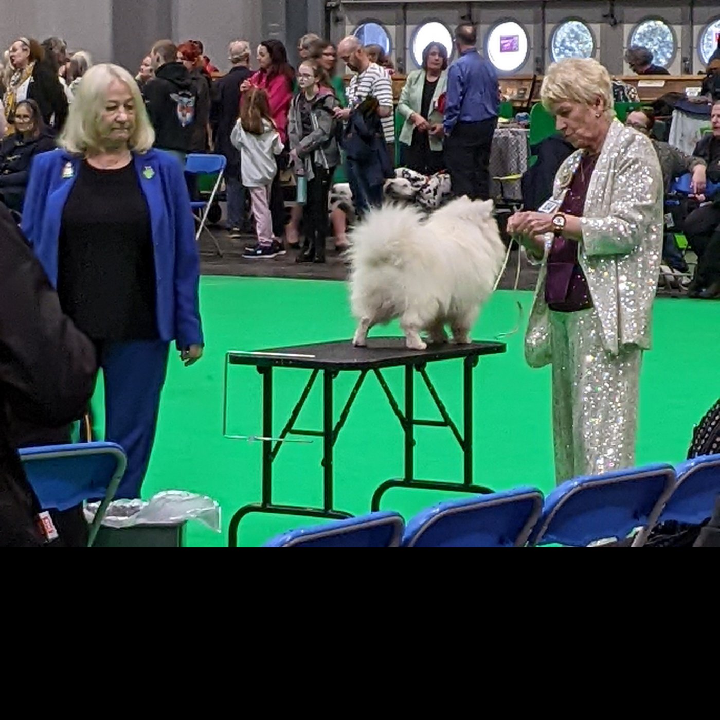 Episode 274 - Crufts 2024 and can dog friendly be neurodivergent friendly?